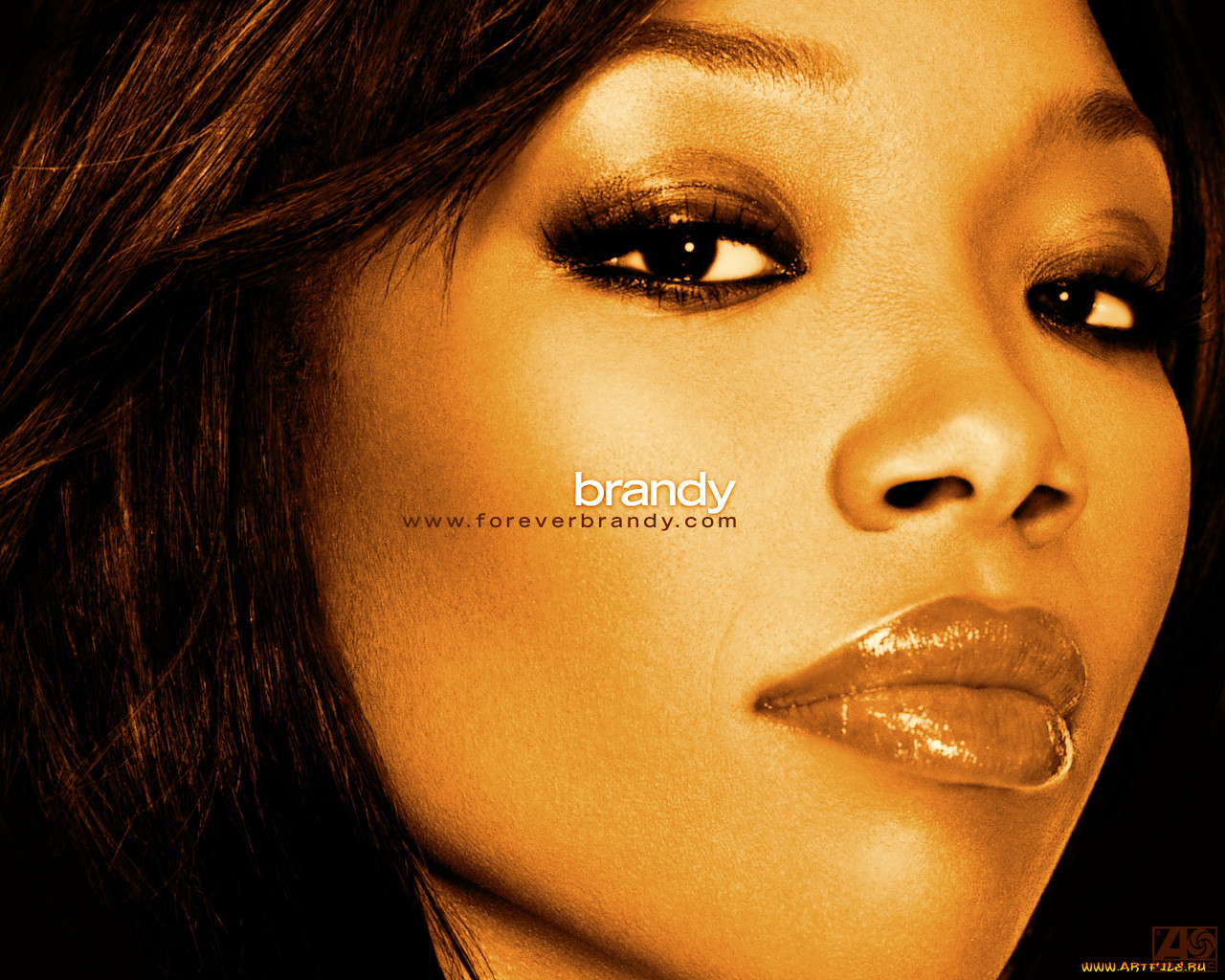 brandy, 